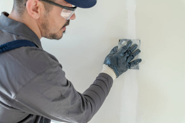 Mold Odor Removal Services