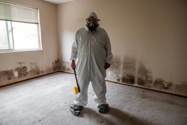 Best Mold Odor Removal Services  in Trainer, PA